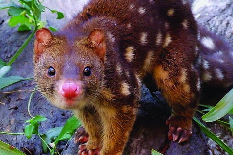 Hartley's Crocodile Adventures General Entry Ticket - Events Australia 4