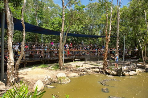 Hartley's Crocodile Adventures Breakfast With The Koalas - Events Australia 1
