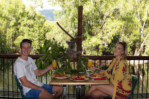 Hartley's Crocodile Adventures Breakfast With The Koalas - Events Australia 5