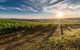 Perth To Margaret River Wine Tour - 2 Day Premium Boutique Wine Tour Experience - thumb 0