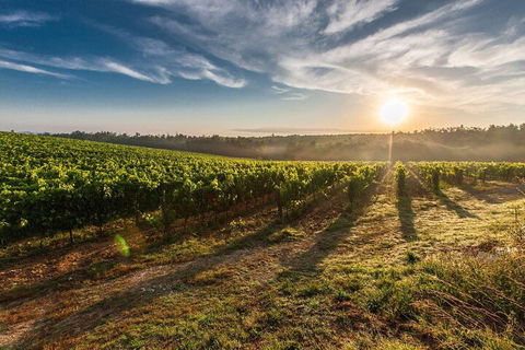 Perth To Margaret River Wine Tour - 2 Day Premium Boutique Wine Tour Experience - Events Australia 0