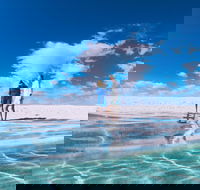 4-Day Coastal Loop via Monkey Mia Wild Dolphins Kalbarri Pinnacles Perth Return - Events Australia