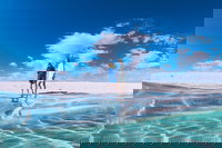 4-Day Coastal Loop via Monkey Mia Wild Dolphins Kalbarri Pinnacles Perth Return