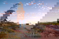 6-Day Coral Coaster from Perth to Exmouth One-Way via Monkey Mia Ningaloo Reef