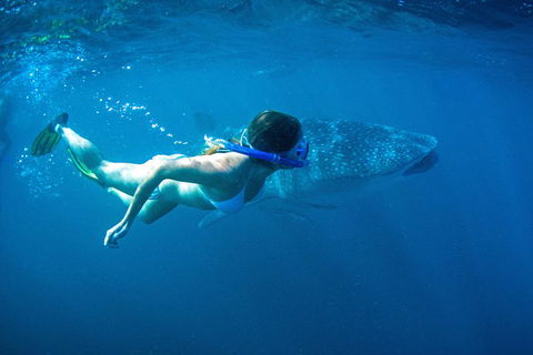 6-Day Coral Coaster From Perth To Exmouth One-Way Via Monkey Mia Ningaloo Reef - Tourism Bookings 3