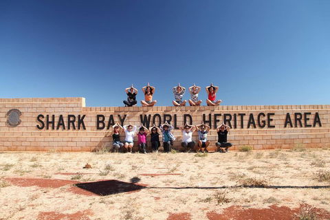 6-Day Coral Coaster From Perth To Exmouth One-Way Via Monkey Mia Ningaloo Reef - Tourism Bookings 4