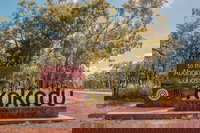 Kakadu Wilderness Escape - Top End Day Tour from Darwin