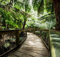 12 Apostles Eco-Friendly Great Ocean Road Iconic Adventure from Melbourne - Tourism Bookings