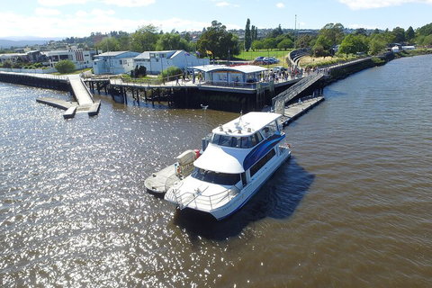 2.5 Hour Morning Discovery Cruise Including Sailing Into The Cataract Gorge - Events Australia 3