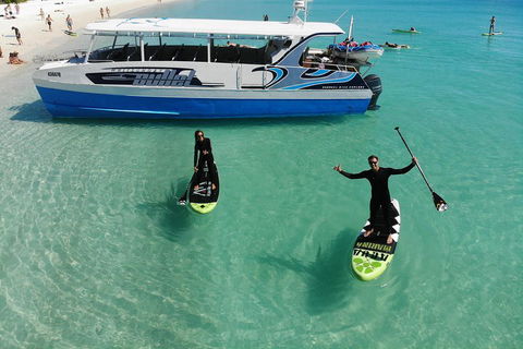 Whitsunday Bullet Day Trip - Whitehaven Beach And Snorkelling - Events Australia 4