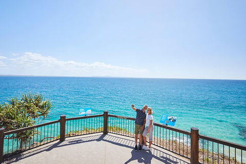 Noosa Everglades Serenity Cruise & Highlights Tour Inc. Lunch & Cruise - Events Australia 3