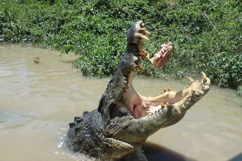 Litchfield And Jumping Crocodiles Full Day Trip From Darwin - Events Australia 3