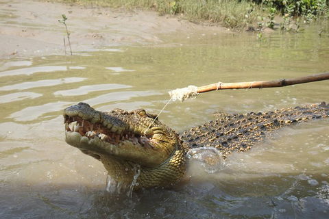 Litchfield And Jumping Crocodiles Full Day Trip From Darwin - Events Australia 4