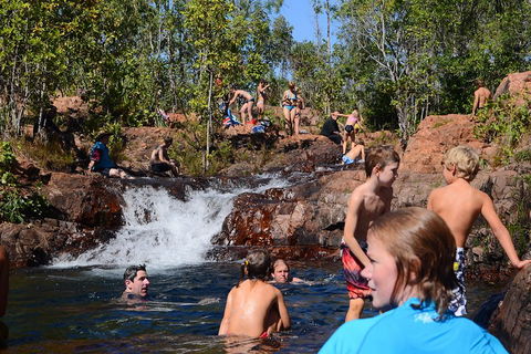 Litchfield And Jumping Crocodiles Full Day Trip From Darwin - Events Australia 5