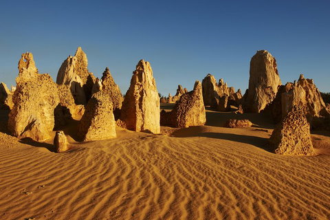 Pinnacles Desert Private Tour - Events Australia 4