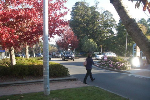 PRIVATE All-Day Blue Mountains Tour With Professional Guide For Up To 4 People - Events Australia 1