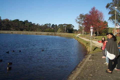 PRIVATE All-Day Blue Mountains Tour With Professional Guide For Up To 4 People - Events Australia 2