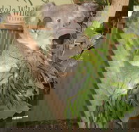 Blue Mountains Private Full-Day Tour from Sydney with Cruise - Tourism Bookings