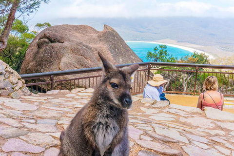 Wineglass Bay & Freycinet NP Full Day Tour From Hobart Via Richmond Village - Events Australia 0