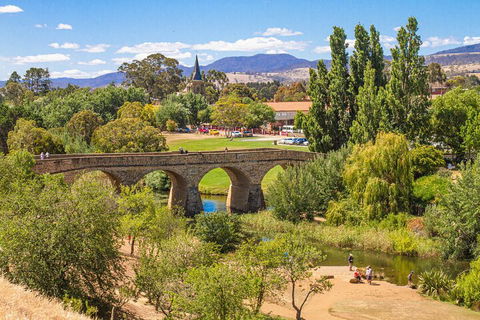 Wineglass Bay & Freycinet NP Full Day Tour From Hobart Via Richmond Village - Events Australia 4