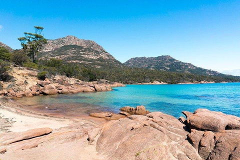 Wineglass Bay & Freycinet NP Full Day Tour From Hobart Via Richmond Village - Events Australia 5