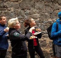 History  Donuts Walking Tour - Tourism Bookings