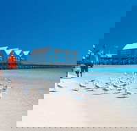 Margaret River and Geographe Bay Region Day Trip from Perth - Events Australia