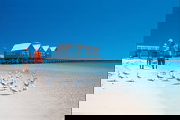 Margaret River and Geographe Bay Region Day Trip from Perth