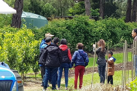 Dandenong Ranges And Rayners Orchard Tour From Melbourne - Events Australia 4