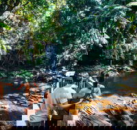 Aquaduck  Your choice of Gold Coast Rainforest Tour - Events Australia