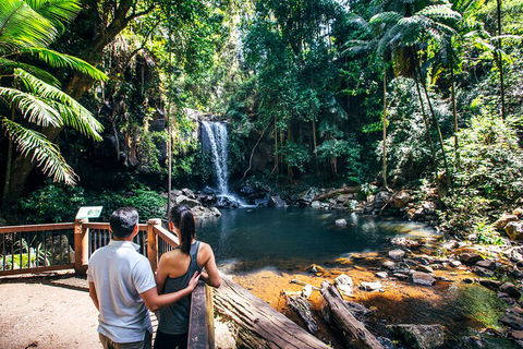 Aquaduck & Your Choice Of Gold Coast Rainforest Tour - Events Australia 0