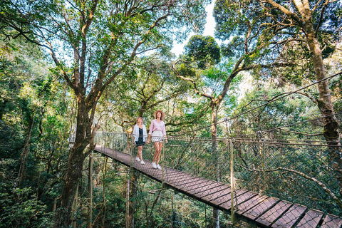Aquaduck & Your Choice Of Gold Coast Rainforest Tour - Events Australia 4