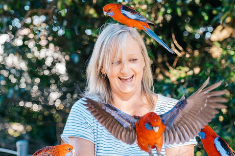 Aquaduck & Your Choice Of Gold Coast Rainforest Tour - Events Australia 5