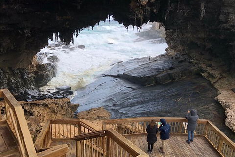 Kangaroo Island 4WD Tour - Best Of KI - Events Australia 1