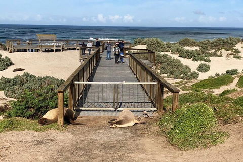 Kangaroo Island 4WD Tour - Best Of KI - Events Australia 2