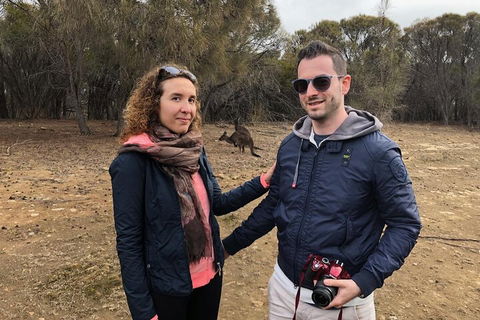 Kangaroo Island 4WD Tour - Best Of KI - Events Australia 3