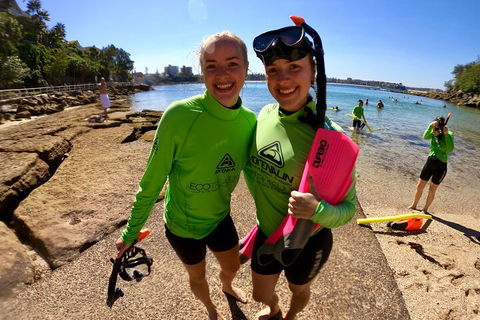 Manly Snorkel Trip And Nature Walk With Local Guide - Events Australia 1