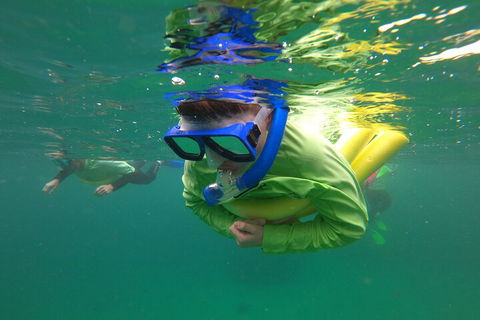 Manly Snorkel Trip And Nature Walk With Local Guide - Events Australia 5
