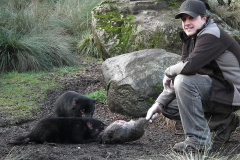 After Dark Tasmanian Devil Feeding Tour At Cradle Mountain - Events Australia 2