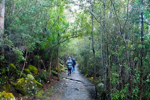 Kunanyi/Mt Wellington Tour & Hobart Hop-On Hop-Off Bus - Events Australia 1