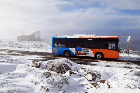 Kunanyi/Mt Wellington Tour & Hobart Hop-On Hop-Off Bus - Events Australia 2