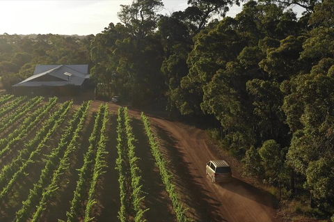 The All About Margaret River Tour: Wine, Coffee, Lunch And Forest - Events Australia 1