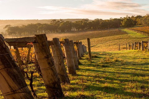 The All About Margaret River Tour: Wine, Coffee, Lunch And Forest - Events Australia 5
