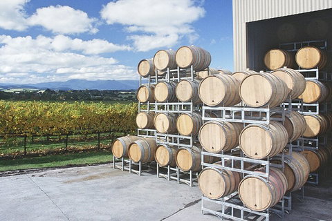 Yarra Valley Wine Tour Inc Lunch With A Glass Of Wine, Tastings And Chocolate - Tourism Bookings 4