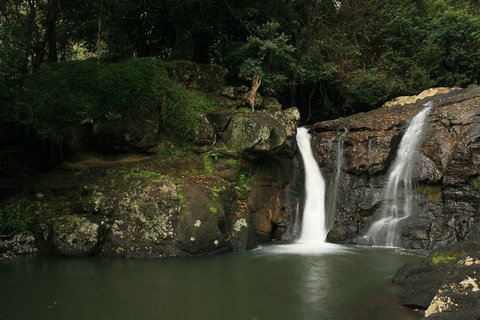 Hinterland Magic & Glow-worm Experience - Events Australia 2