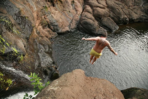 Hinterland Magic & Glow-worm Experience - Events Australia 3