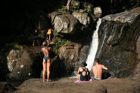 Hinterland Magic & Glow-worm Experience - Events Australia 5