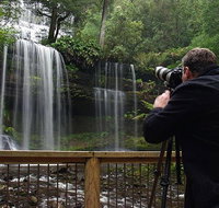 Mt Field and Styx Valley Photography Tour - Events Australia