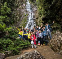 5-Day Lap of Tasmania Tour from Hobart flexible ticket - Events Australia