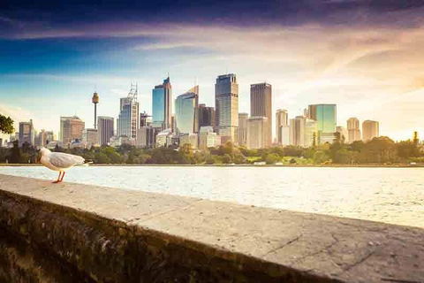 Private Sydney City And Bondi Beach Half Day Tour - Events Australia 2